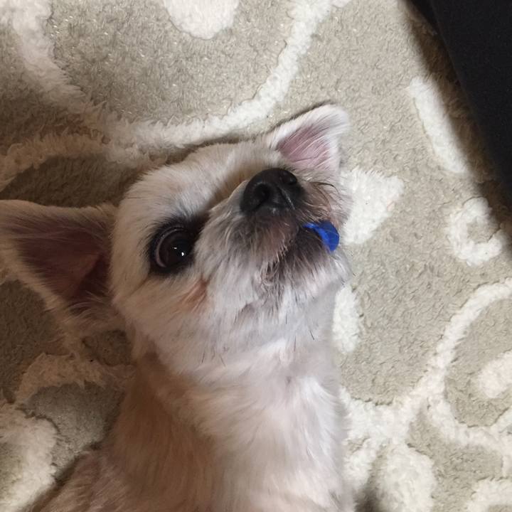 18b234cd 1711 4cff a31b a3b22948ab91 1547033458901