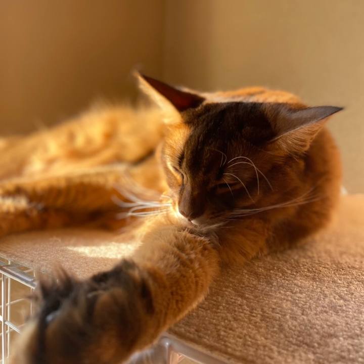 18b240c7 699a 42f4 b8bf cbfcbf029c94 1638146692316