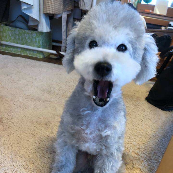 18b27655 0916 4a51 89dc afc953030587 1712110395082