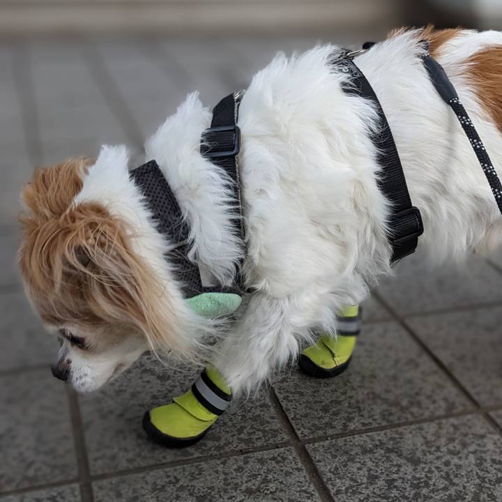 18b28d28 3752 4421 8644 2ac63a887fcb 1684312743400