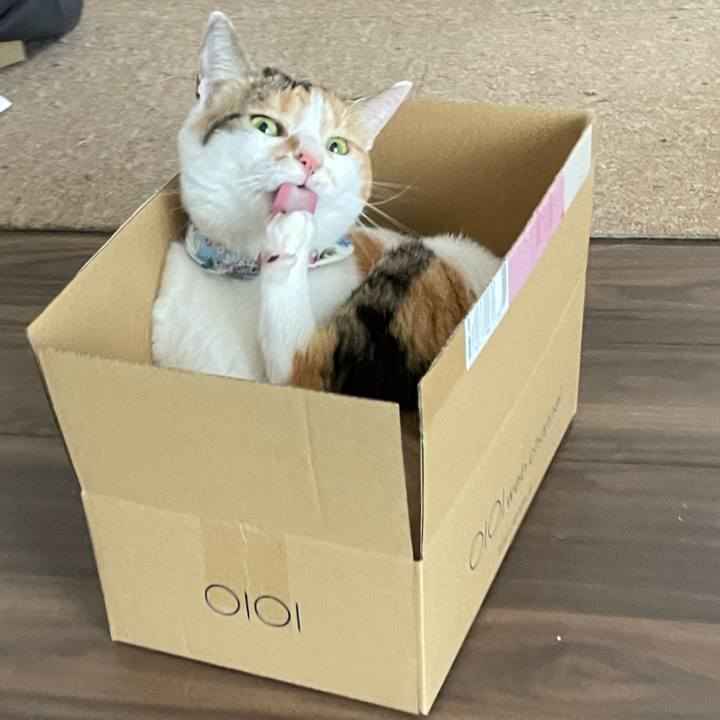 18b2e944 65a5 4b4c 9076 5c5e8af37a49 1716939417283