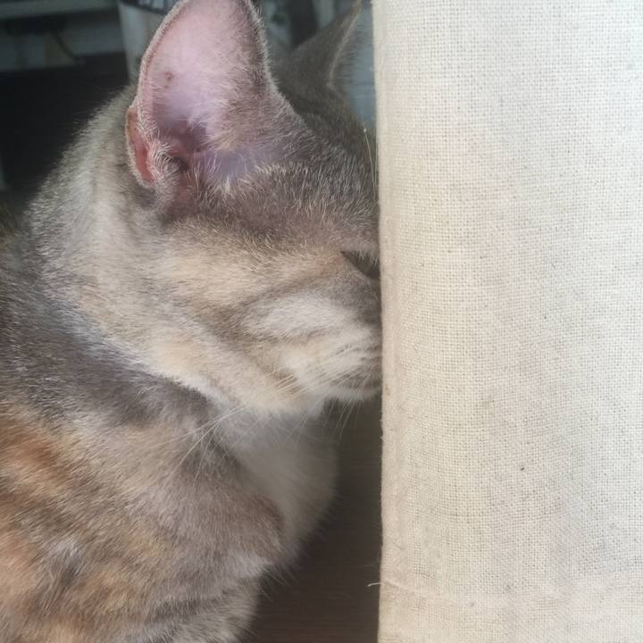 18b325b0 fad7 4811 b88b 5b65fe02e936 1571795077679