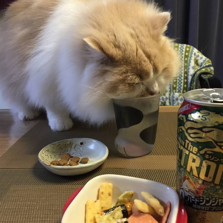 18b33004 e702 4a87 92ed 208ee8625c66 1550330506407