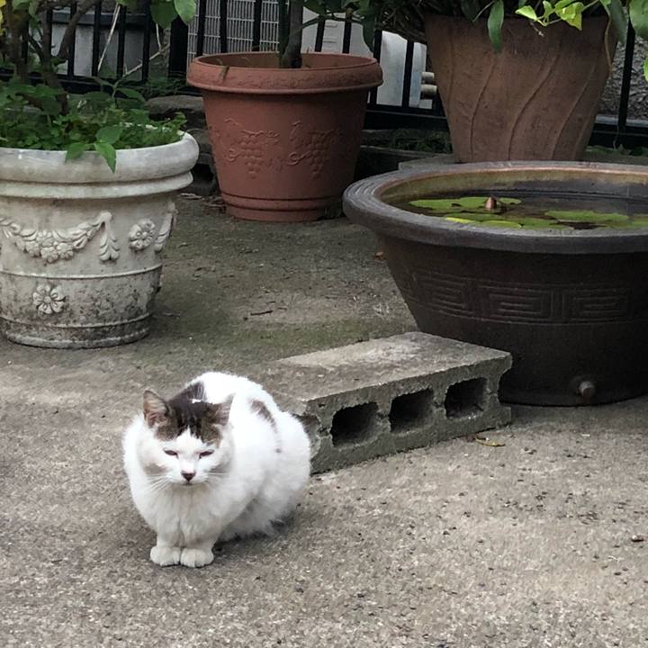 18b35037 37a6 431a 9920 084caa69fd79 1527860503185