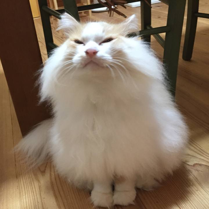 18b358aa 7f4b 49b1 b33b 6d1805a9fc13 1606345378595