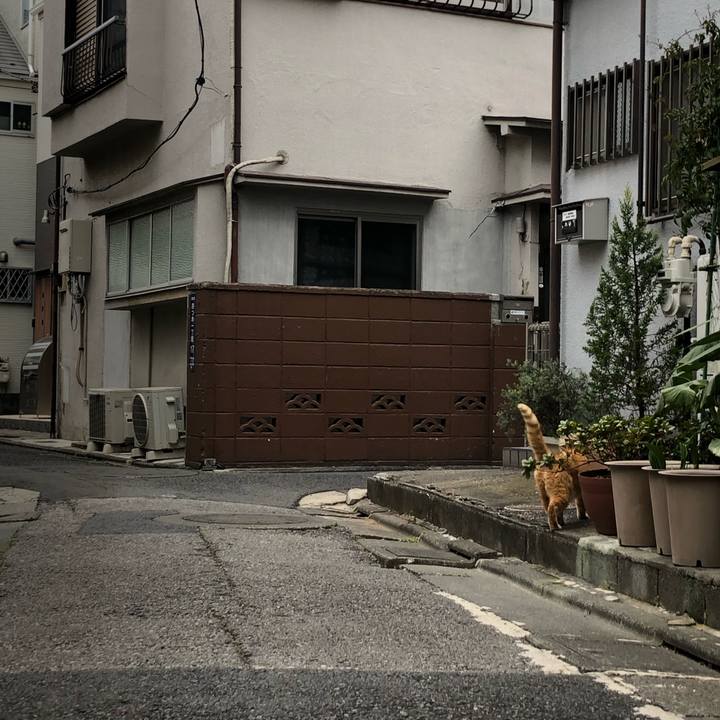 18b365bf b4c3 44dc aff4 2f1acebf6e36 1612105342074