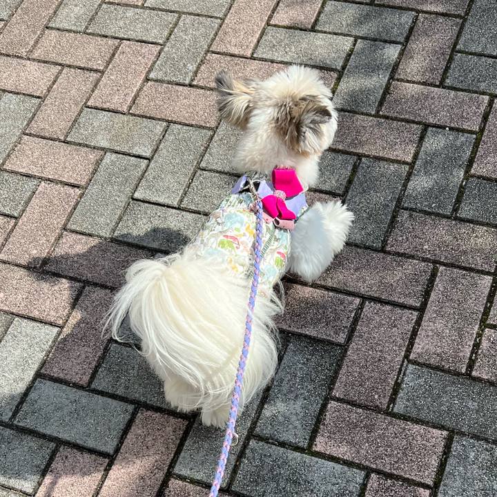 18b37bf0 53e3 46c7 a50e eec8b7db128e 1665615011537