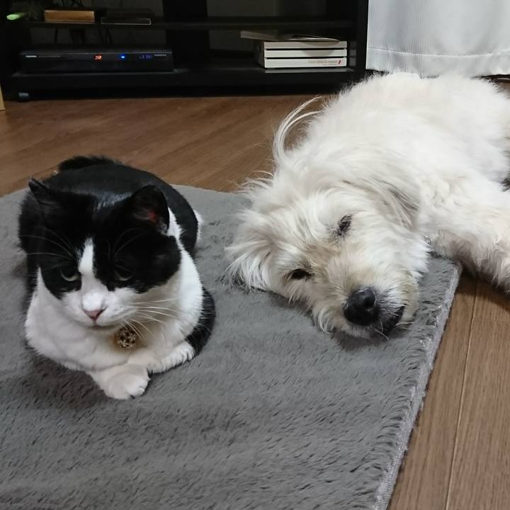 18b37f5b 083e 40b1 ac94 9b1a4e72ac79 1593781860560