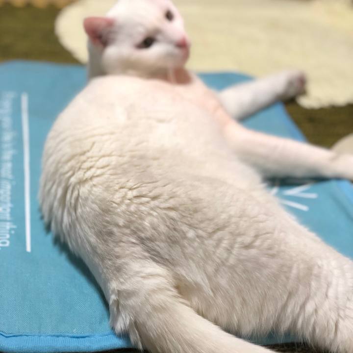 18b38802 cb16 4c3b 9628 a54a297cfd3c 1556951669297