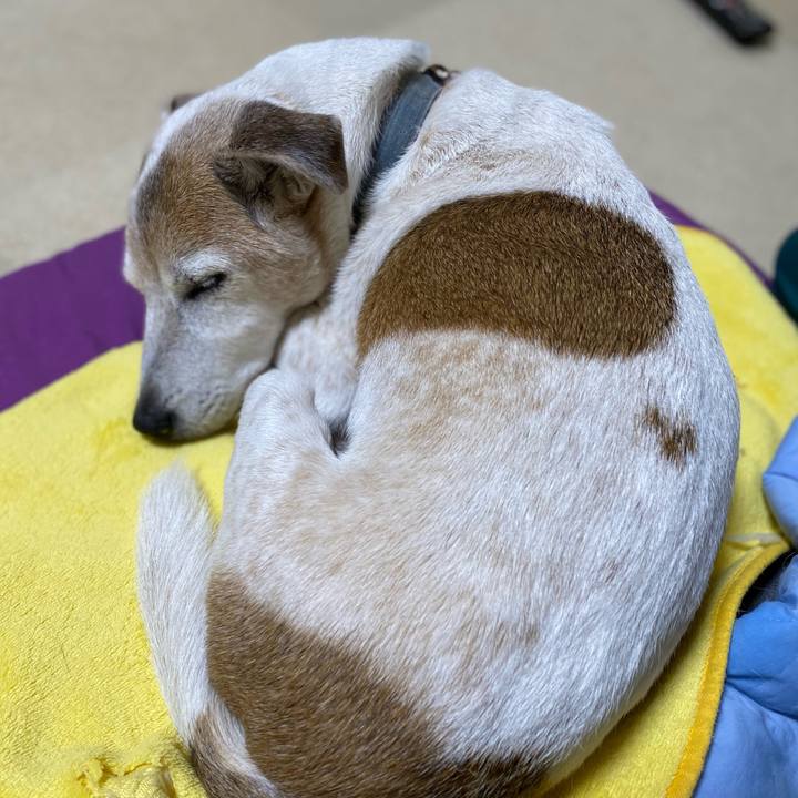 18b3a38c fb8f 4a36 bddc 7b6625dded77 1657459986272