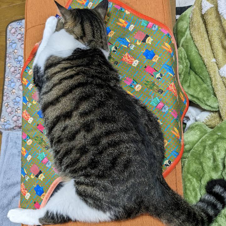 18b3a7a7 9239 4424 9bc0 6f73e5b58449 1684715940453