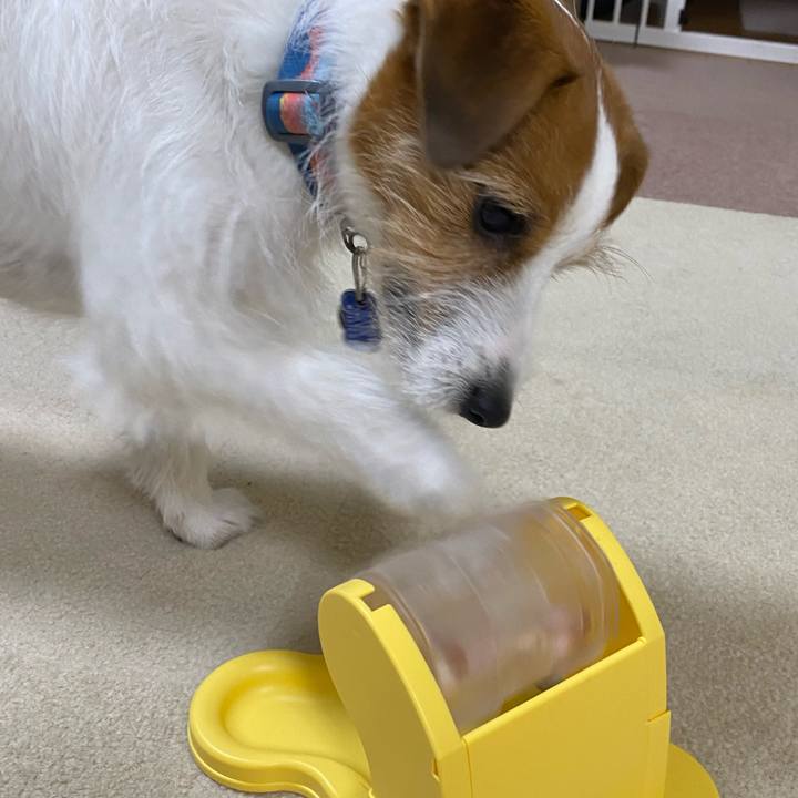 18b40ae7 80ec 4216 bd97 dd72b029660b 1743340179041