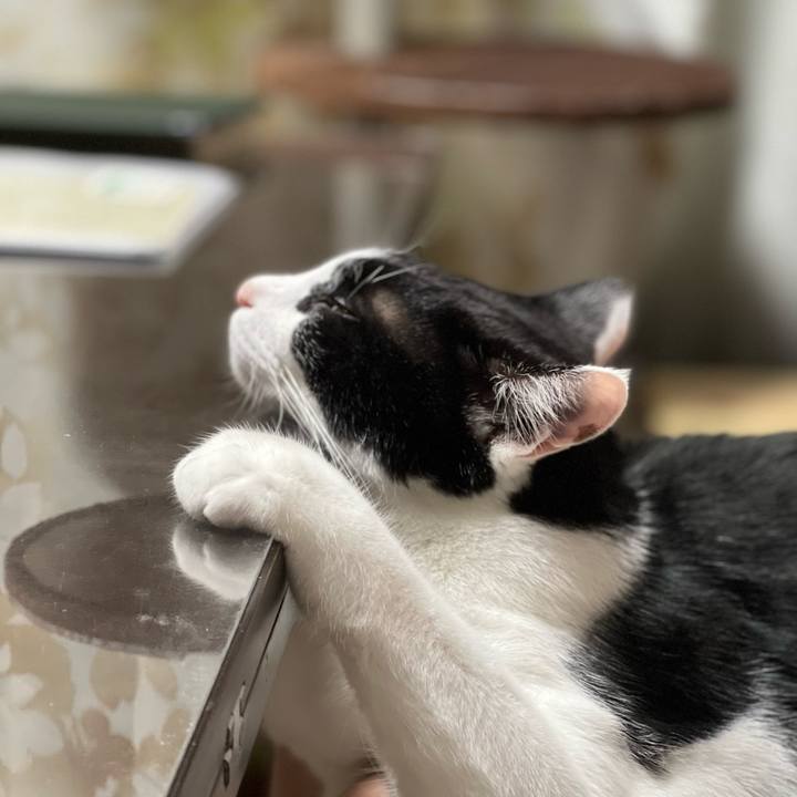 18b44b1b 1e01 415d a948 a2c03959ab9b 1660573930130