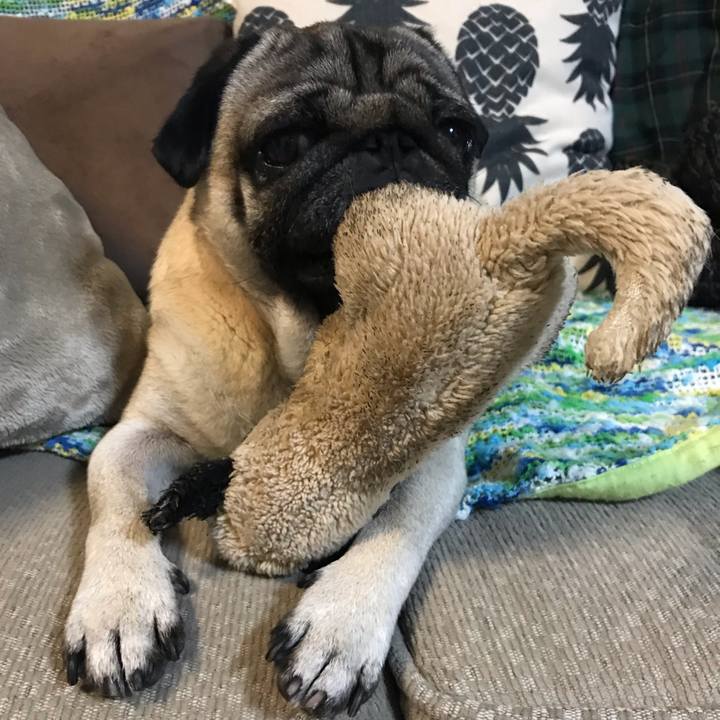 18b471a0 f377 4b5a a4aa b393b9e7803d 1543411426115