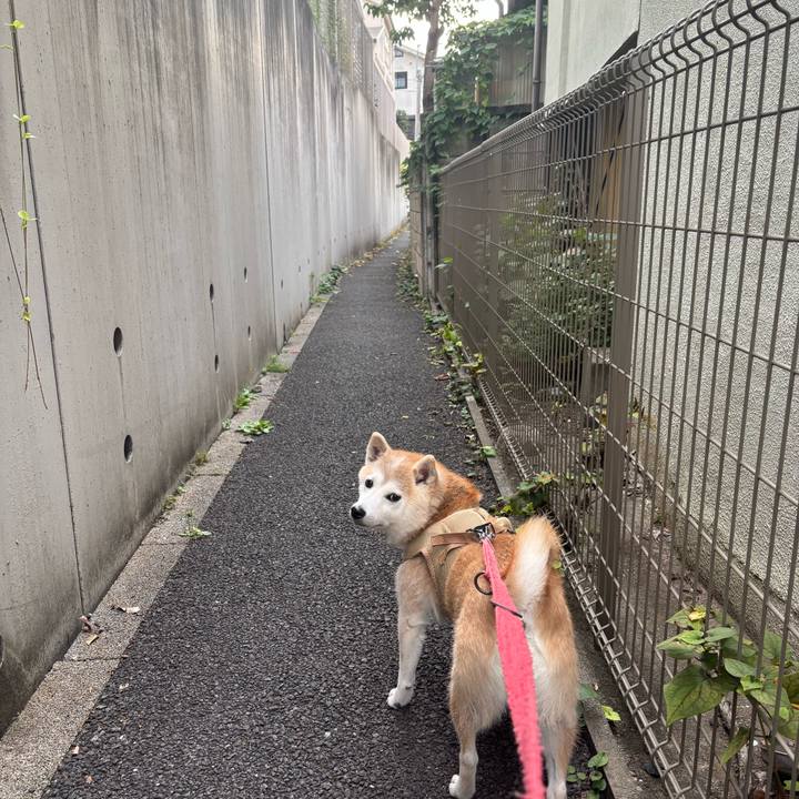 18b497b2 a36d 45c6 82f8 bff39b1ca45f 1762565607648