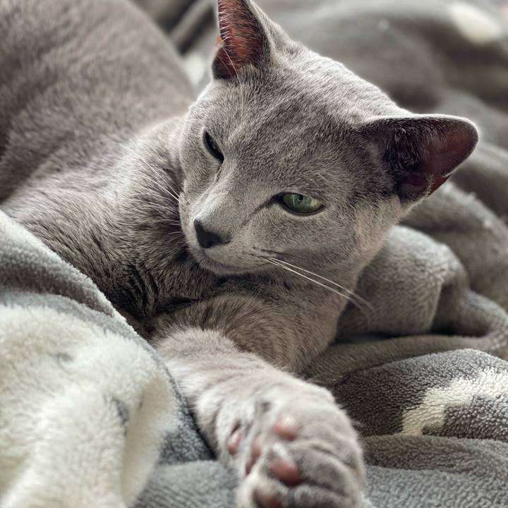 18b4d4d2 4650 4400 bbdc b2499687ac52 1614918018075