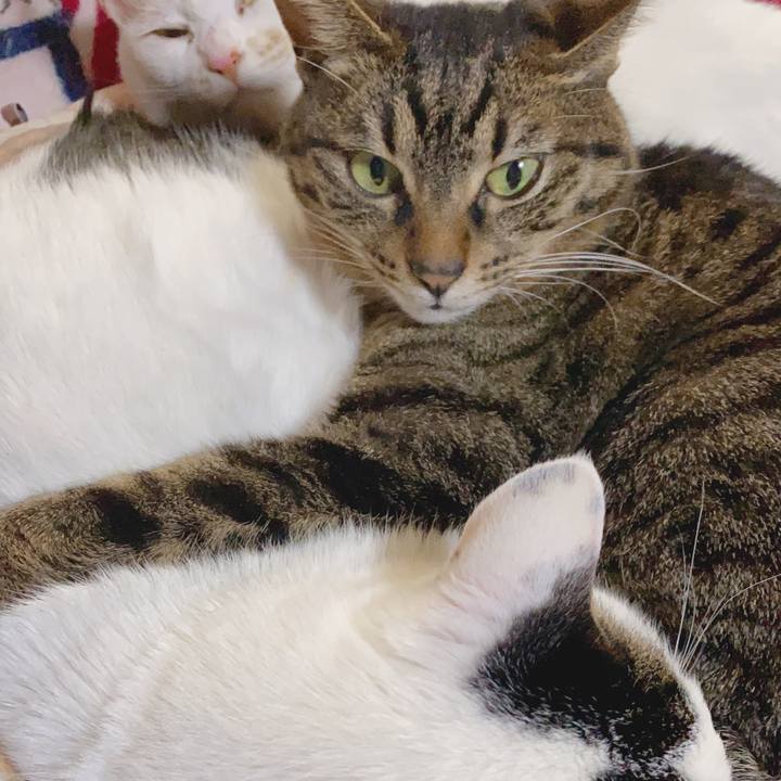 18b4f66b 5b7b 4c2e b894 c90867742bdb 1586660083707