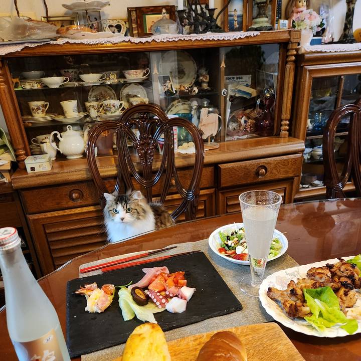 18b50c97 2811 46eb b622 09e2c6e3812f 1772883635837