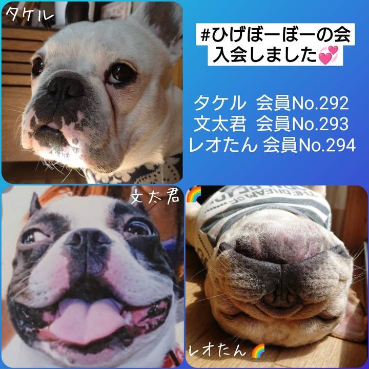 18b53290 19ea 48c7 ad4a 61b9b7ddc4ed 1739279185488
