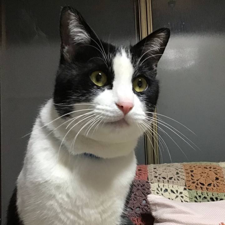 18b54caf ef82 45ab b817 ffdeb9ad230b 1674304858353