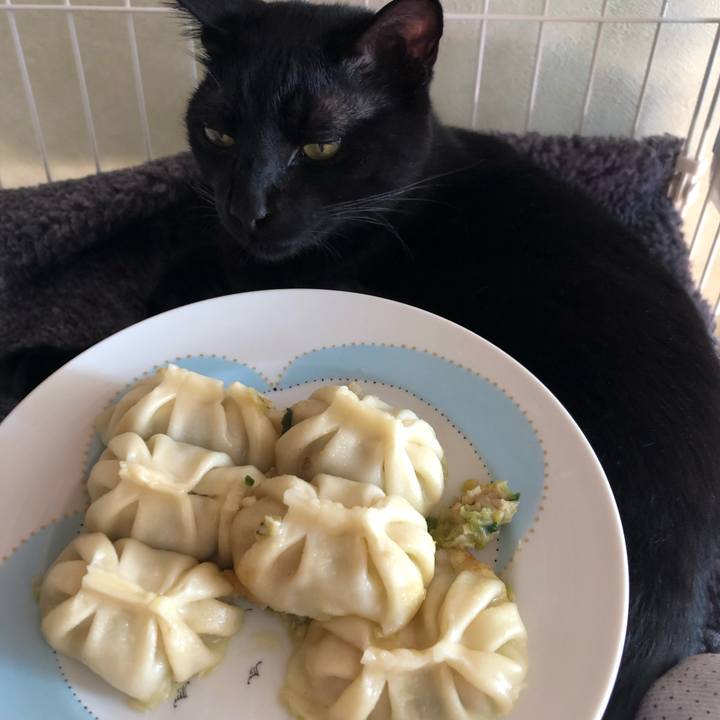 18b55a2a 3e24 4417 81d7 8ede3b44668c 1547446858214