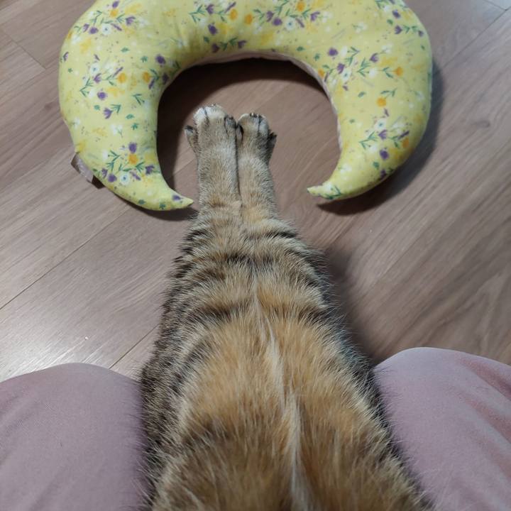 18b55fb1 00bb 4a1b a190 1e18e489bfbc 1770506163326