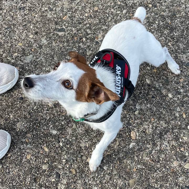 18b57414 219f 4ef5 8982 b4174d7978b1 1764469638732