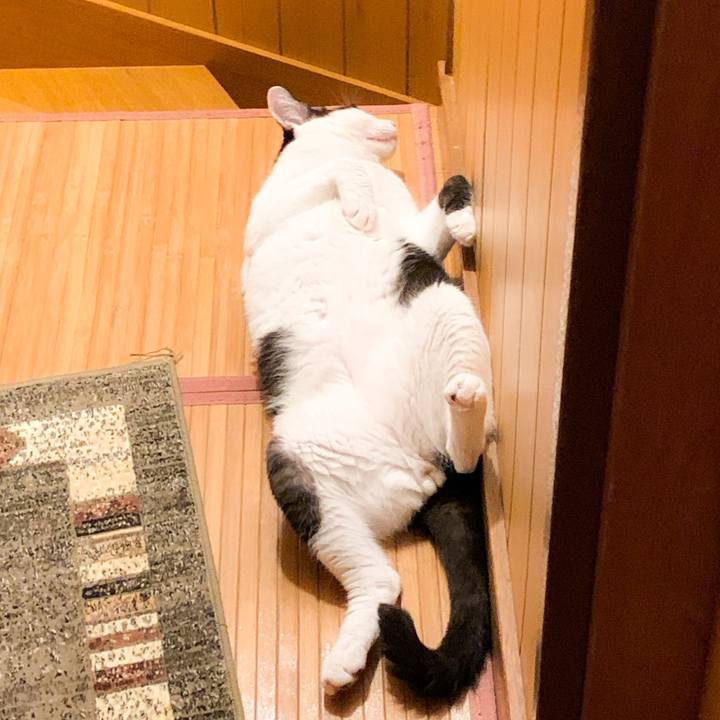 18b5761c ce1a 4870 80ea 515601140fa3 1572142770113