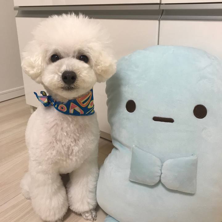 18b57b5c f681 410b bd0b d09e9b614059 1519036310072