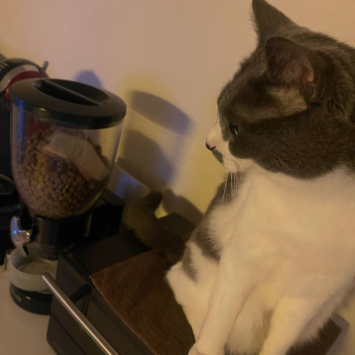 18b585e1 7e48 491b 9988 44bc2fa268b8 1735339442381