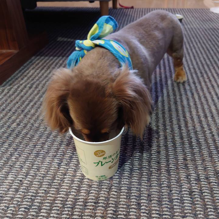 18b5aa37 9330 47b4 8d32 ae9deda56c66 1626569725633