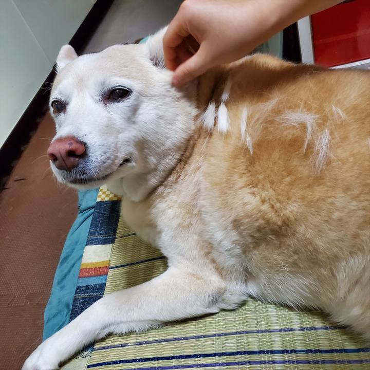 18b5c749 c111 4c44 811d 74bb8089fc43 1621588659706