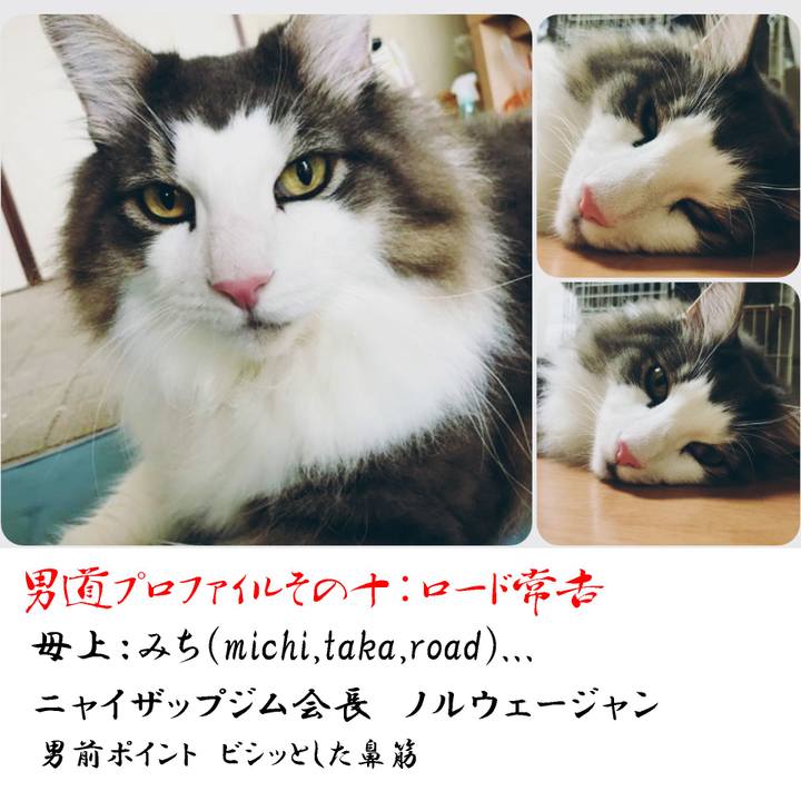 18b5e30f 0344 4088 b72b 68ee38245e7e 1566302855186