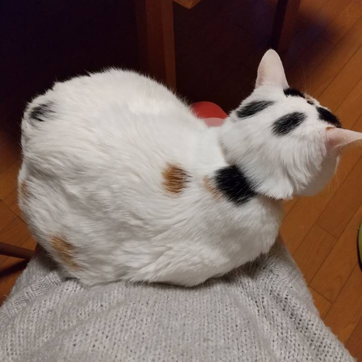 18b605fc acda 4d05 9296 5f82eb3fb19e 1614600263993