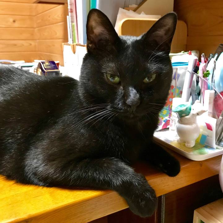 18b619c4 61d2 4b71 9079 d20f58ab4996 1531658730508