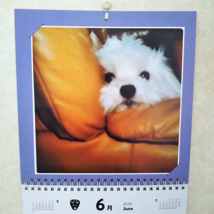 18b62a23 07e4 4eb5 8038 169f2505e23d 1590967239407