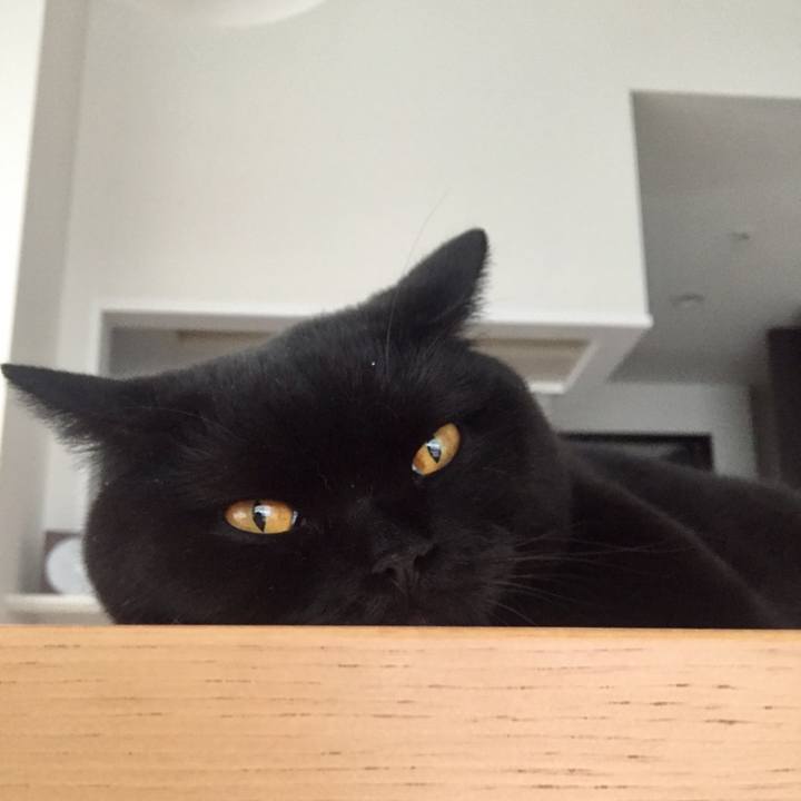 18b63bd4 e384 4d03 8ec2 25fd26125826 1563745444945