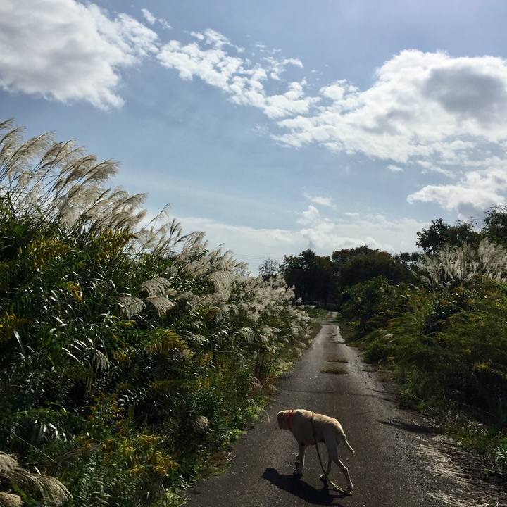 18b6449f e9b4 4cc6 839c ef28214f2118 1508818169477