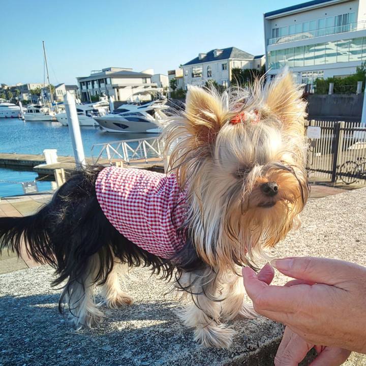 18b64f76 d67f 4e88 8d30 bbddbabc021f 1602763098641