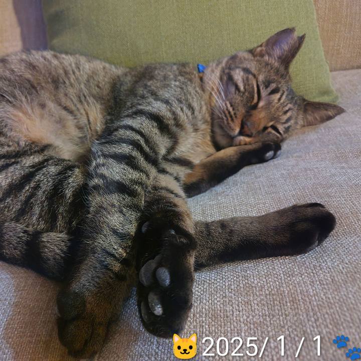 18b661a0 551c 4740 ae76 34e39b39c047 1768314587327