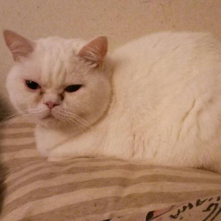 18b66824 7d02 40f4 9c4b 90c15e65d239 1541202524511