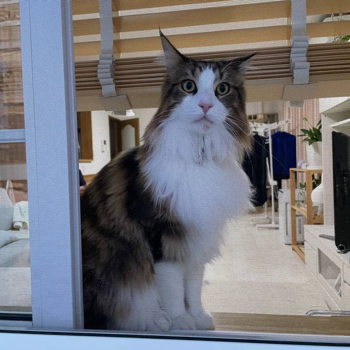 18b6845e a48d 4c75 887c 16992ed6a2d3 1669931256565