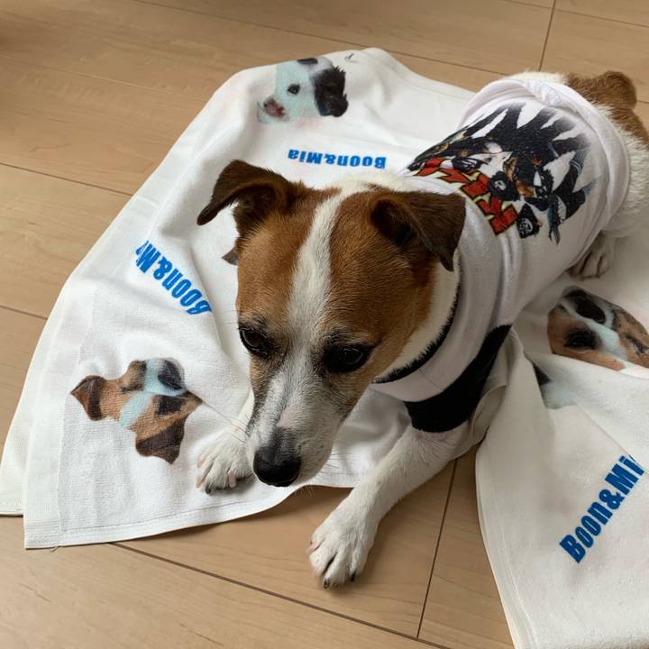 18b6ba50 1753 4a3b b67c c51936c7fb95 1596258980832