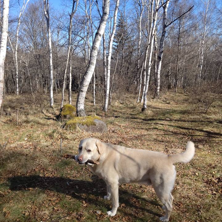 18b6ba60 e474 41bb bbe2 db9c4d97a28a 1670637746949