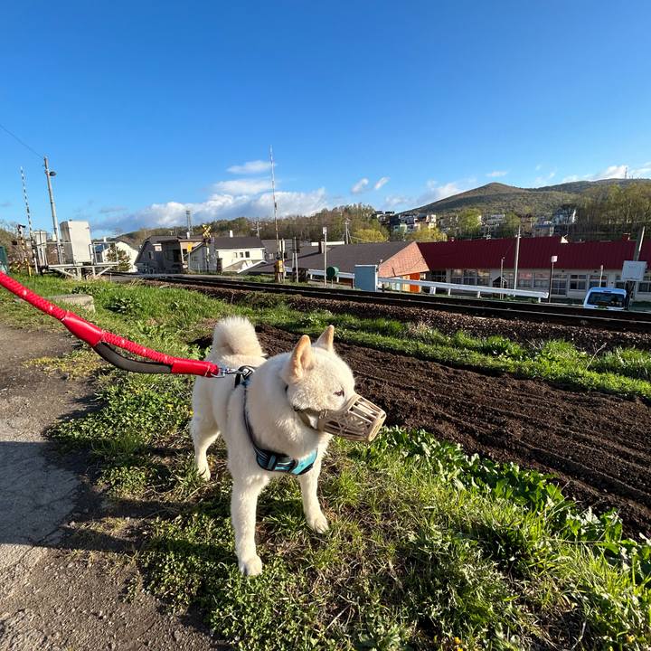 18b6bfec 60ad 4555 9f7b fb7d06de1684 1682890000707