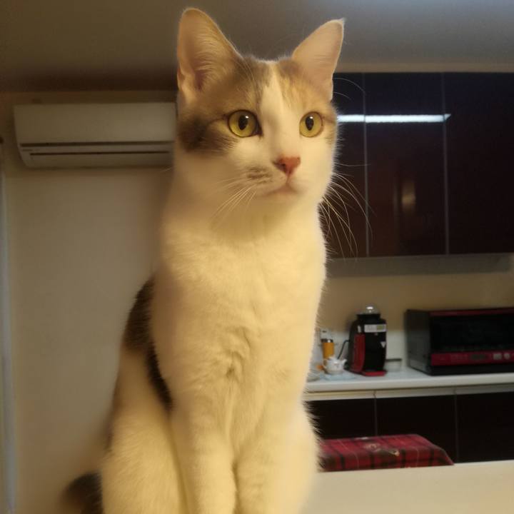 18b70e76 2914 41ed beb7 6e90b9dc4f61 1554021187679