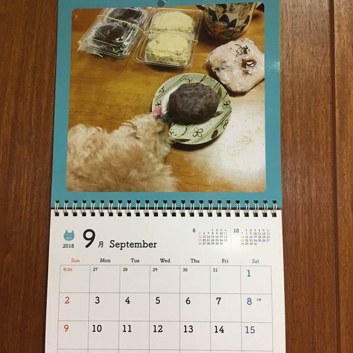 18b714e1 d598 41a1 8bc4 1035897bf638 1536327920265