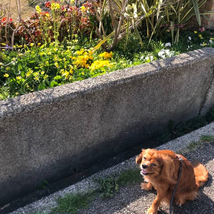 18b7426d 4220 4cdd a2c8 627879b8c22a 1584776997598