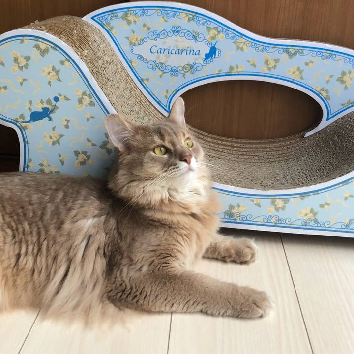 18b7cb20 0a2e 4cc5 8ab2 d0b8802eaedd 1601598028067