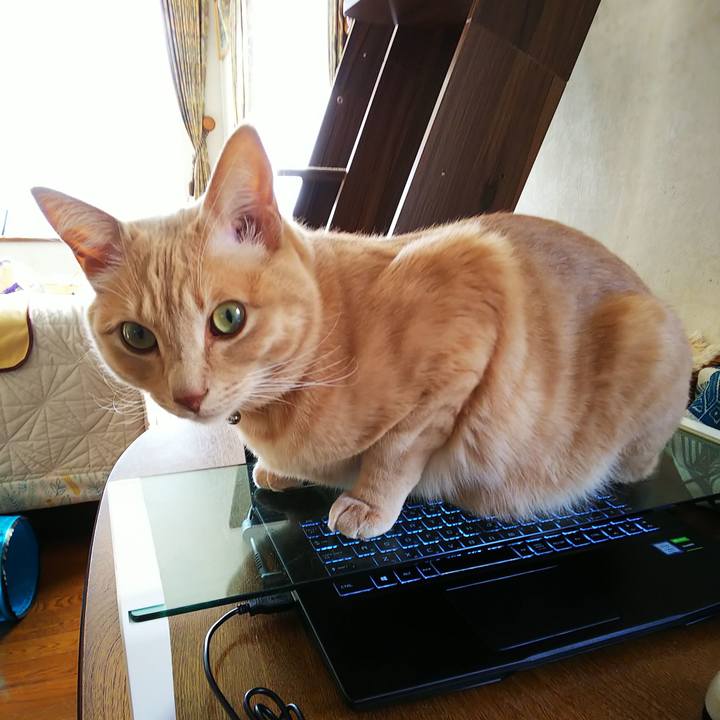 18b7e286 8ffd 4593 993c 2babe2dd3c51 1607655245326